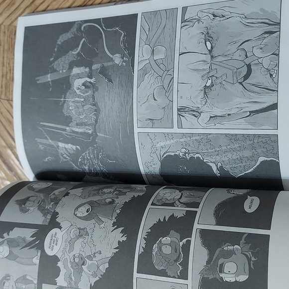 Black Sand Beach Are You Afraid of the Light? - Picture 8 of 10